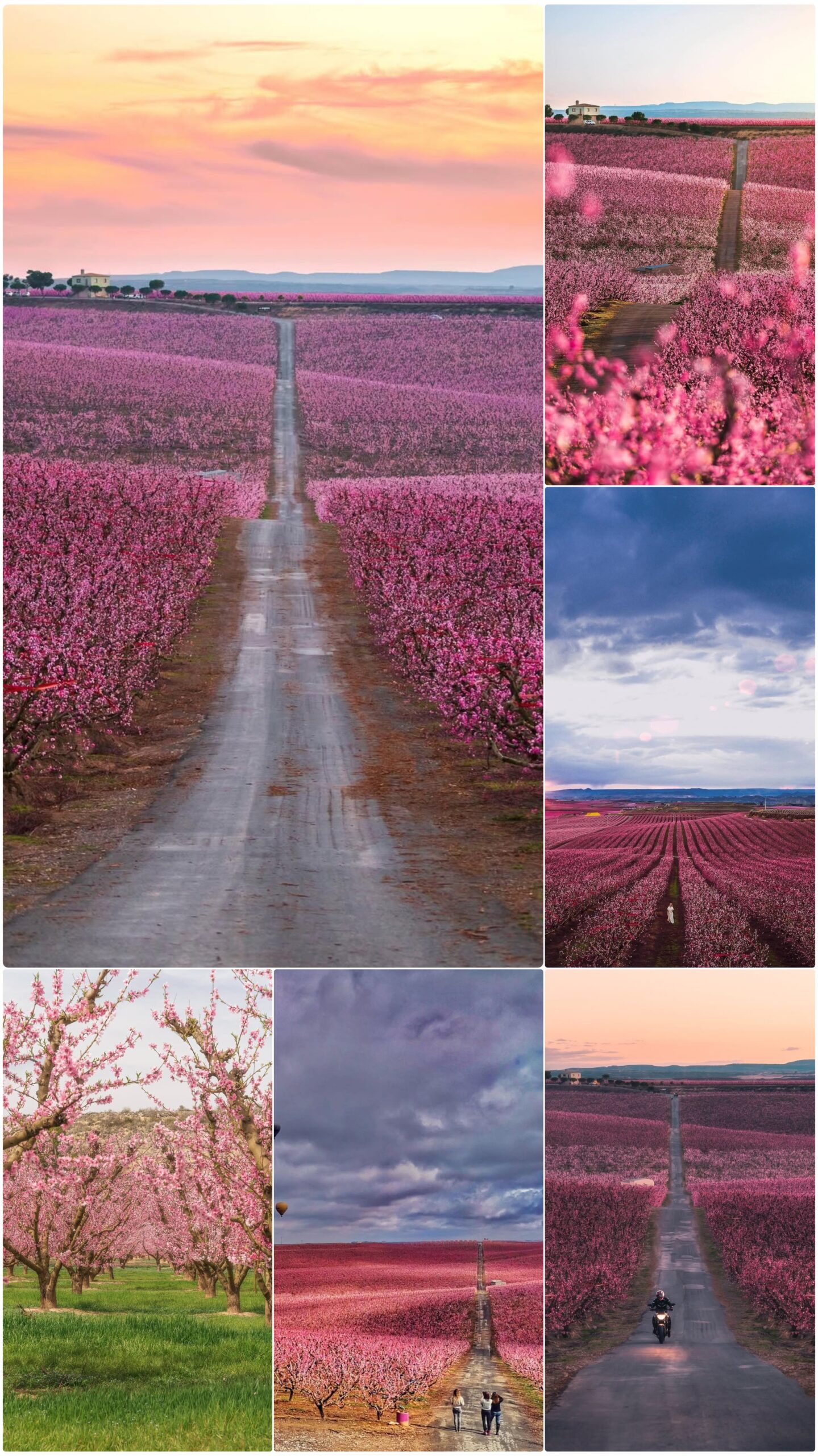 ¡Las mejores excursiones, circuitos y viajes desde Barcelona en un mismo lugar!