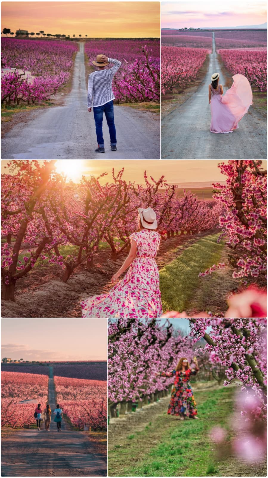 ¡Las mejores excursiones, circuitos y viajes desde Barcelona en un mismo lugar!