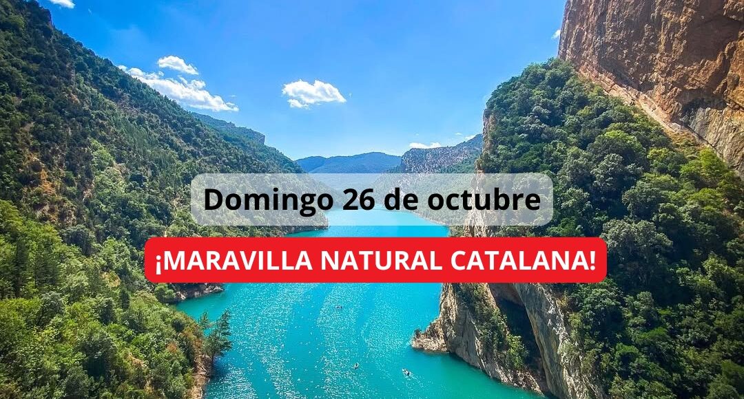 ¡Las mejores excursiones, circuitos y viajes desde Barcelona en un mismo lugar!