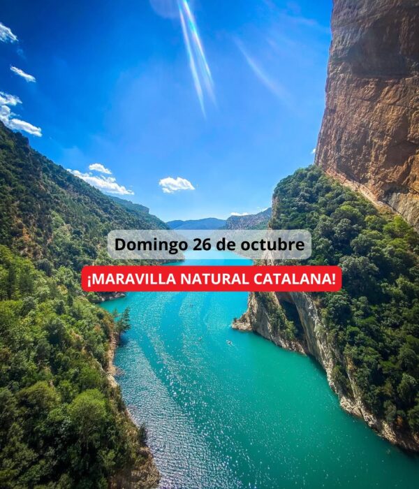 ¡Las mejores excursiones, circuitos y viajes desde Barcelona en un mismo lugar!