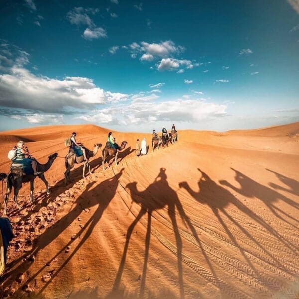 ¡Las mejores excursiones, circuitos y viajes desde Barcelona en un mismo lugar!