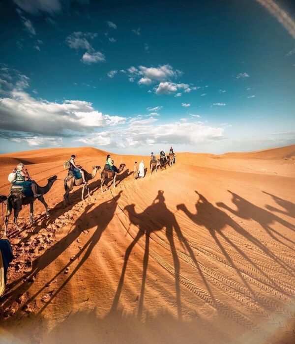 ¡Las mejores excursiones, circuitos y viajes desde Barcelona en un mismo lugar!