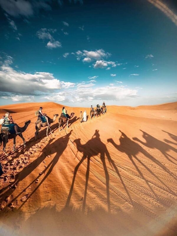 ¡Las mejores excursiones, circuitos y viajes desde Barcelona en un mismo lugar!