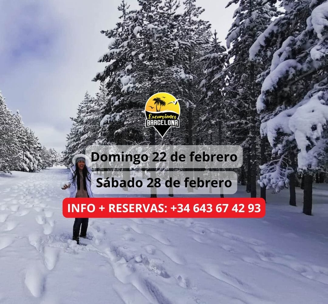 ¡Las mejores excursiones, circuitos y viajes desde Barcelona en un mismo lugar!