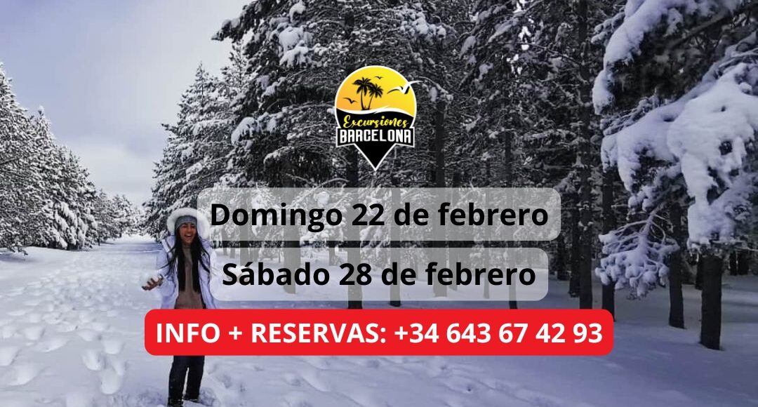 ¡Las mejores excursiones, circuitos y viajes desde Barcelona en un mismo lugar!