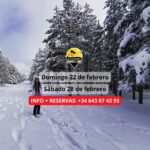 ¡Las mejores excursiones, circuitos y viajes desde Barcelona en un mismo lugar!