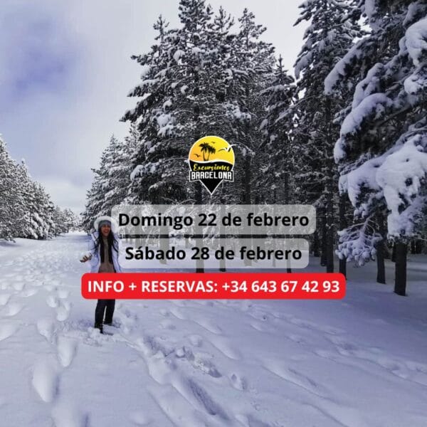 ¡Las mejores excursiones, circuitos y viajes desde Barcelona en un mismo lugar!