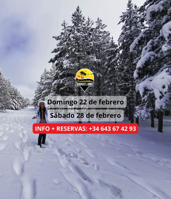 ¡Las mejores excursiones, circuitos y viajes desde Barcelona en un mismo lugar!