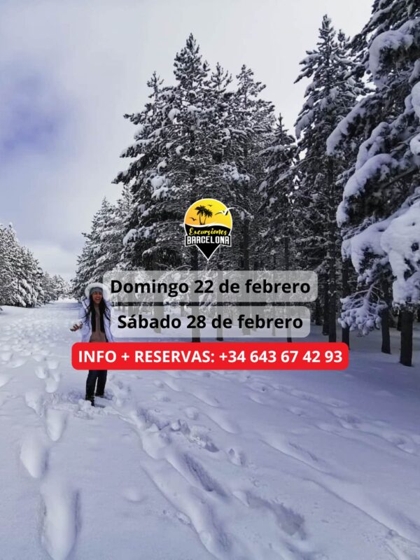 ¡Las mejores excursiones, circuitos y viajes desde Barcelona en un mismo lugar!