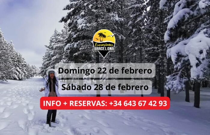 ¡Las mejores excursiones, circuitos y viajes desde Barcelona en un mismo lugar!