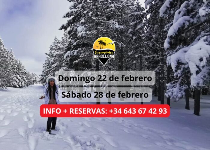 ¡Las mejores excursiones, circuitos y viajes desde Barcelona en un mismo lugar!