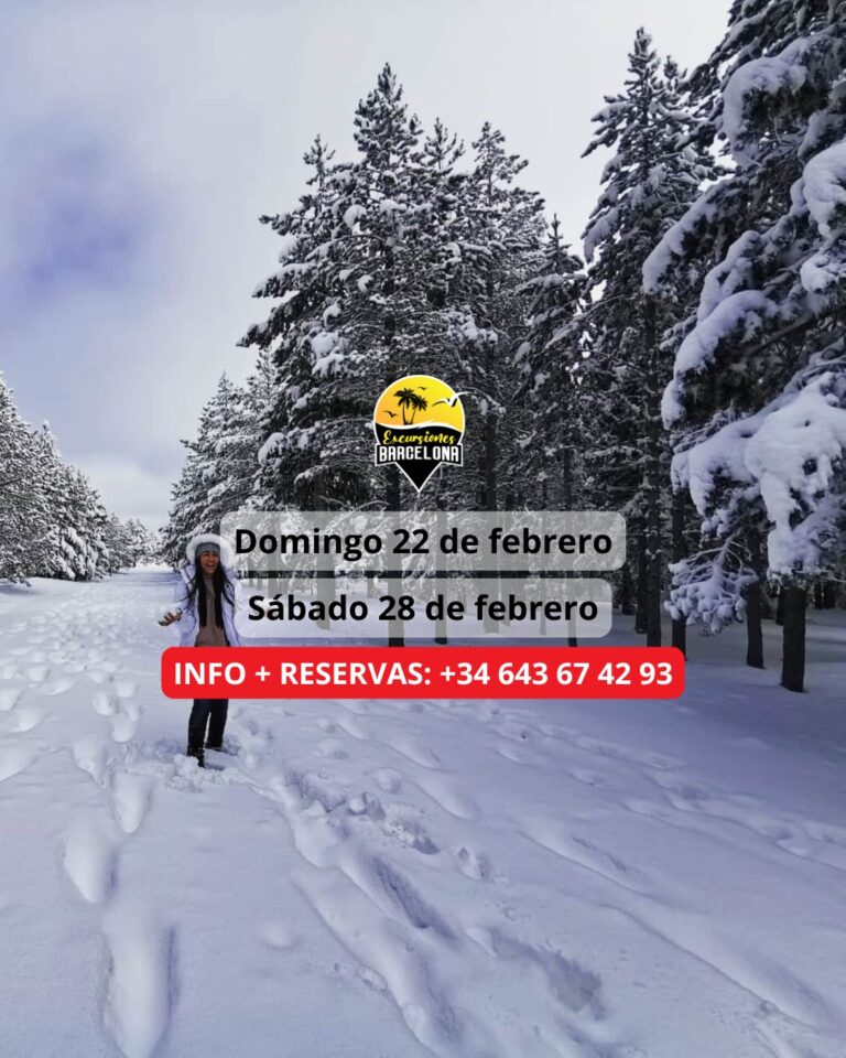 ¡Las mejores excursiones, circuitos y viajes desde Barcelona en un mismo lugar!