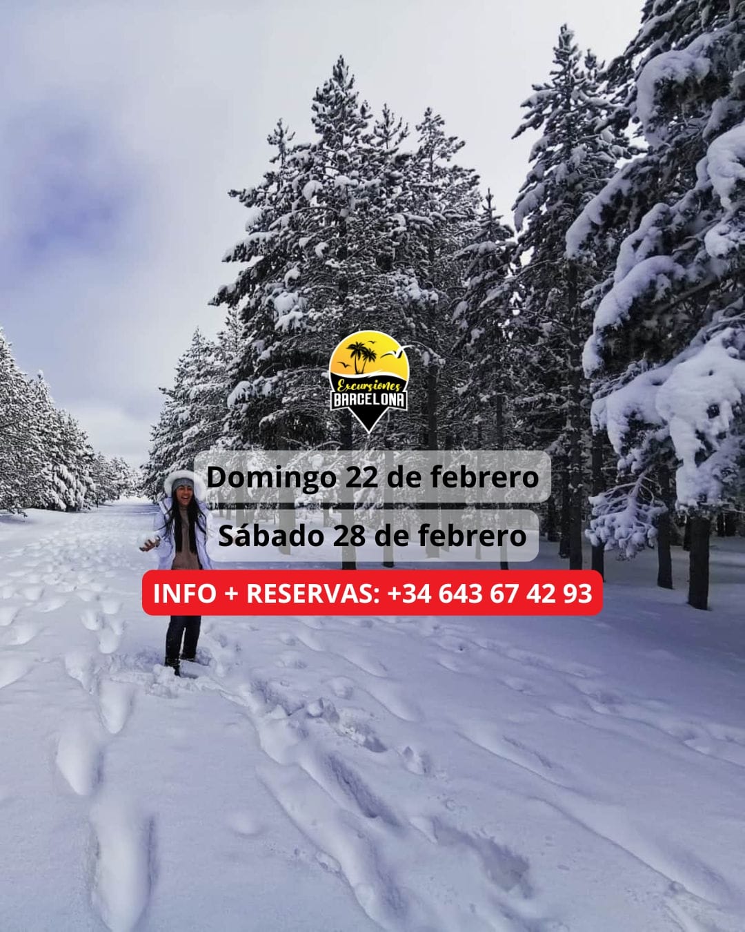 ¡Las mejores excursiones, circuitos y viajes desde Barcelona en un mismo lugar!