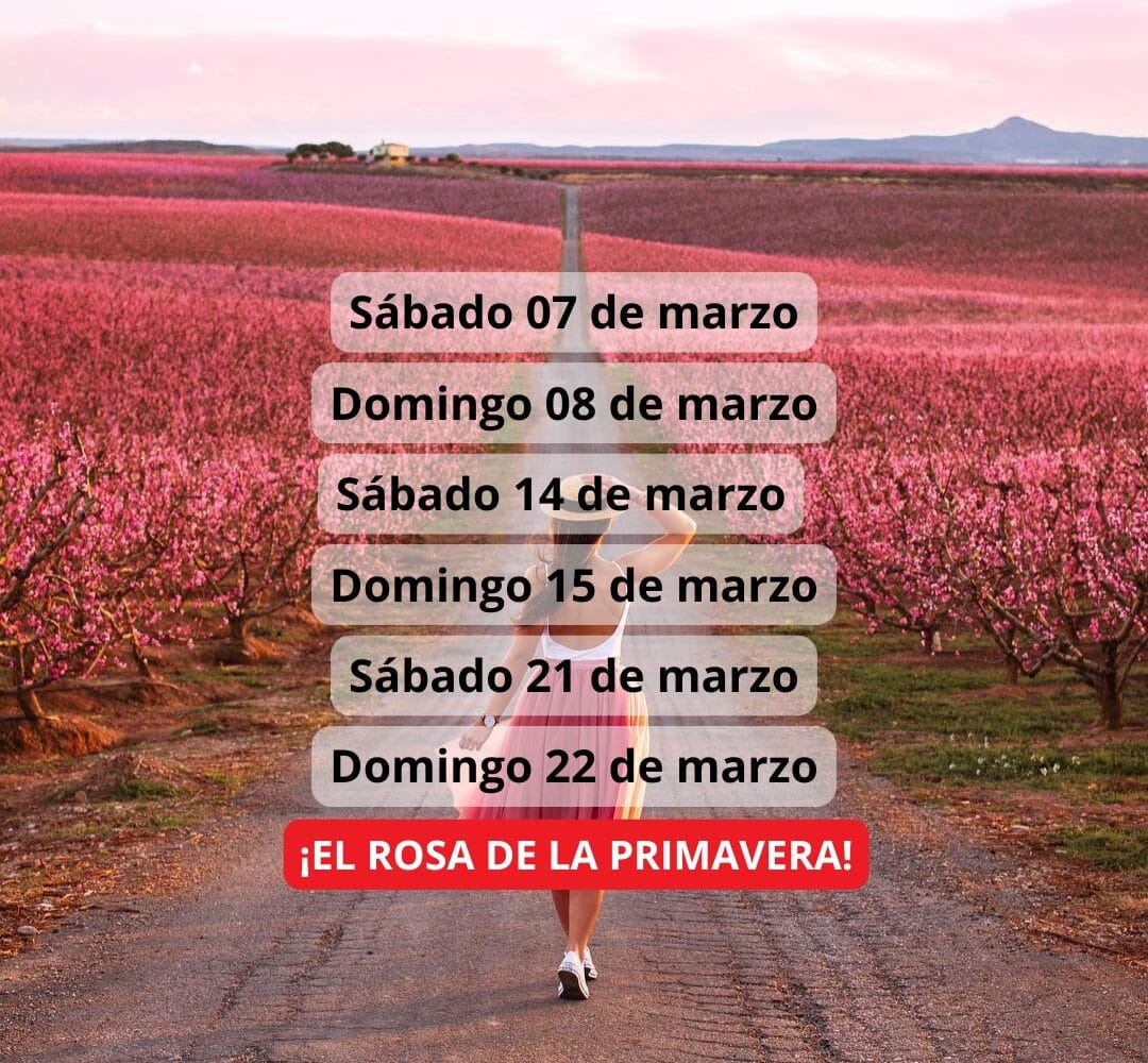 ¡Las mejores excursiones, circuitos y viajes desde Barcelona en un mismo lugar!