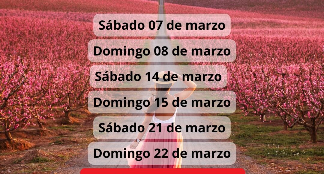 ¡Las mejores excursiones, circuitos y viajes desde Barcelona en un mismo lugar!