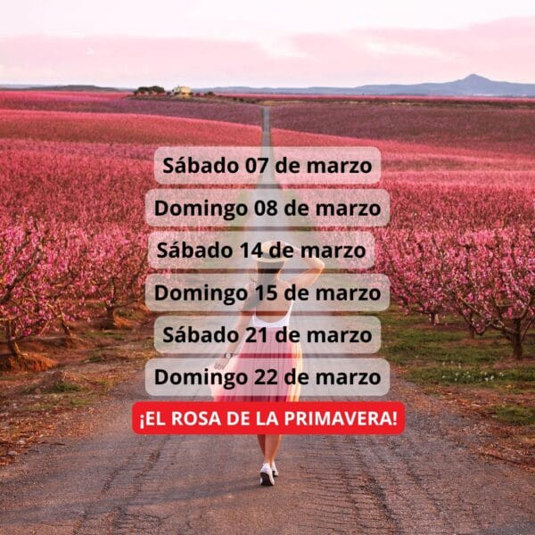 ¡Las mejores excursiones, circuitos y viajes desde Barcelona en un mismo lugar!