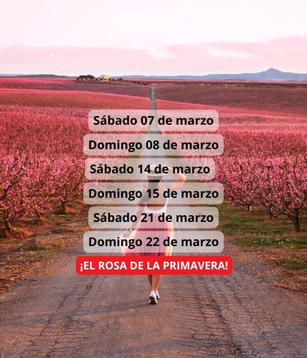 ¡Las mejores excursiones, circuitos y viajes desde Barcelona en un mismo lugar!