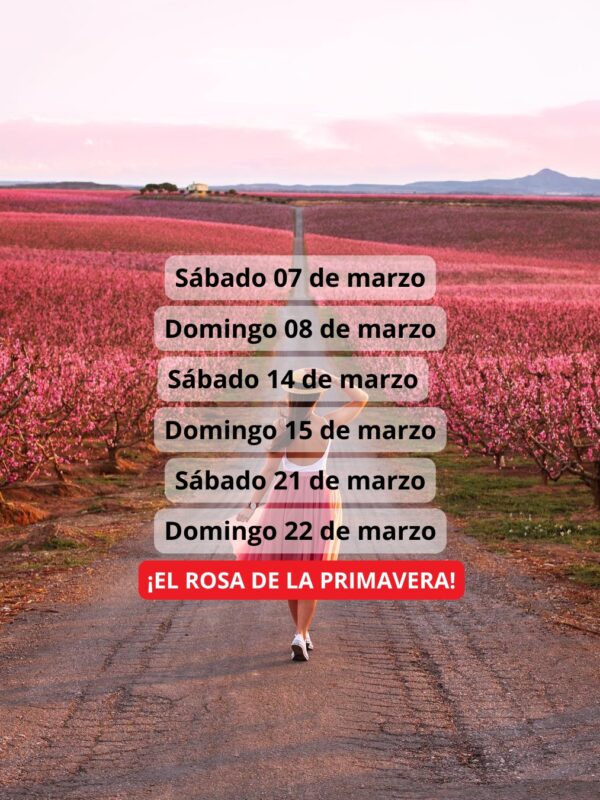 ¡Las mejores excursiones, circuitos y viajes desde Barcelona en un mismo lugar!