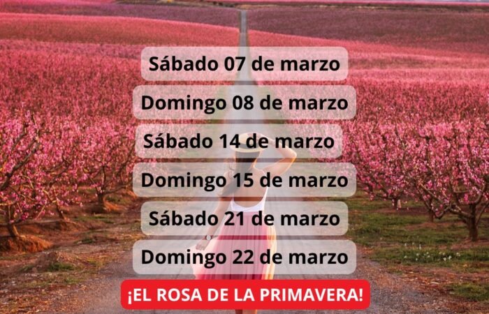 ¡Las mejores excursiones, circuitos y viajes desde Barcelona en un mismo lugar!