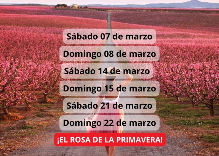 ¡Las mejores excursiones, circuitos y viajes desde Barcelona en un mismo lugar!