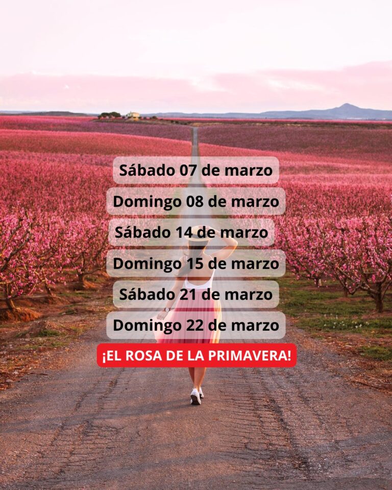 ¡Las mejores excursiones, circuitos y viajes desde Barcelona en un mismo lugar!