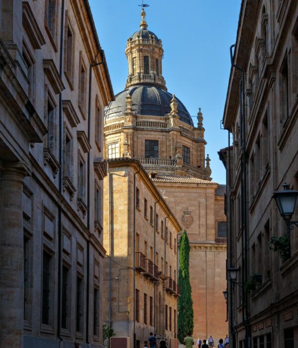 ¡Las mejores excursiones, circuitos y viajes desde Barcelona en un mismo lugar!